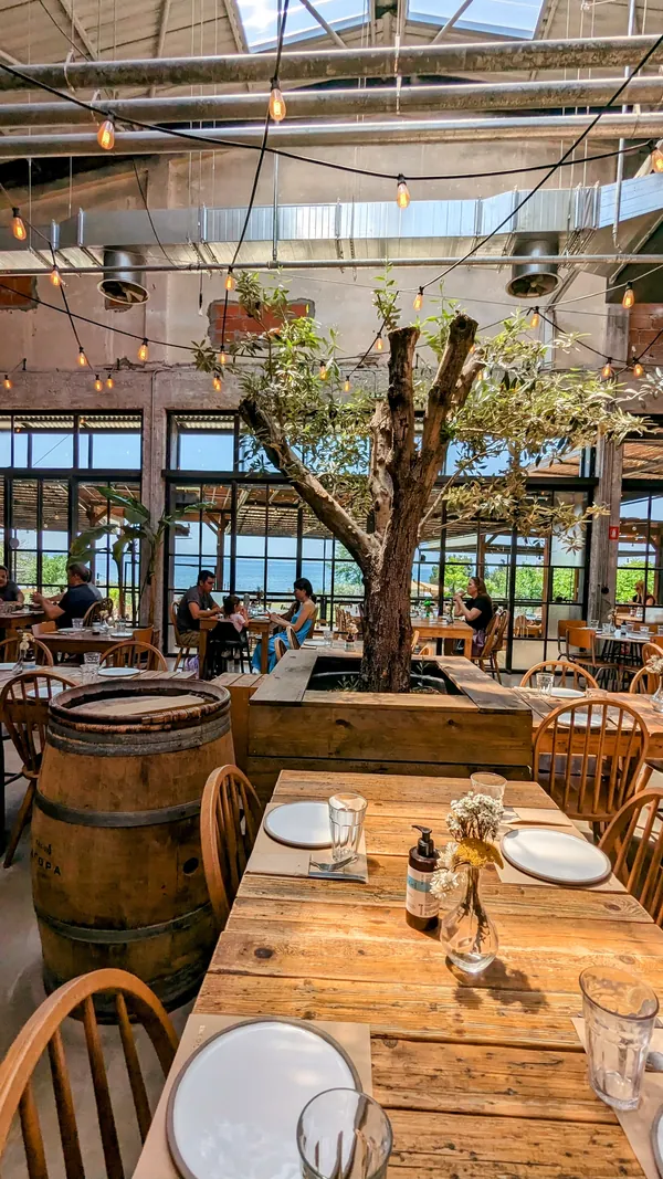 The dining hall at ERGON Agora East, with an olive tree, wooden tables and string lights