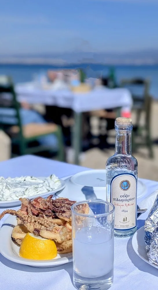 Fried calamari, tzatziki and a bottle of ouzo on a table by the sea