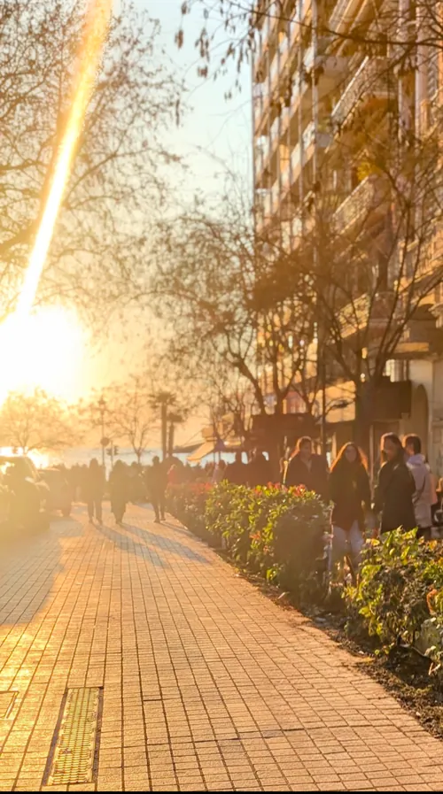 A tree-lined Thessaloniki street in golden late-afternoon light