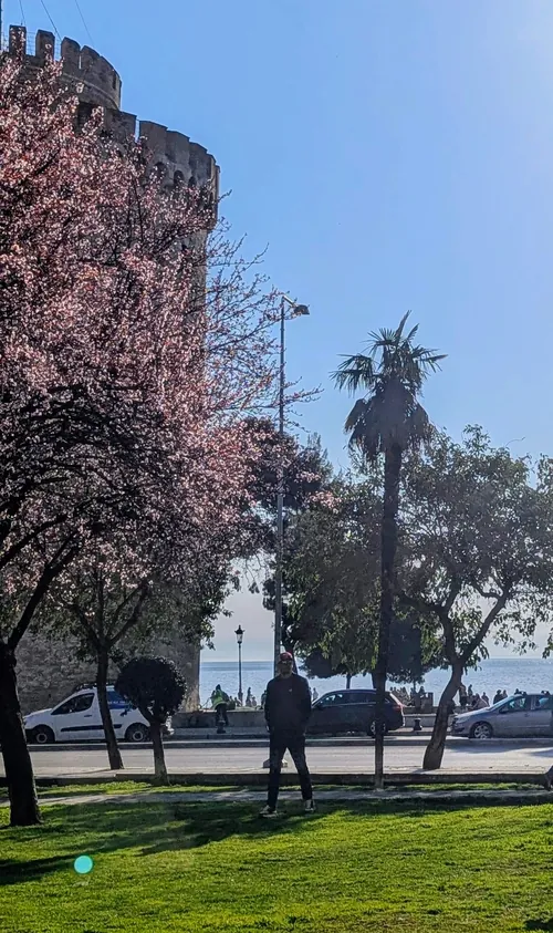 The White Tower of Thessaloniki framed by blossoming trees on the seafront